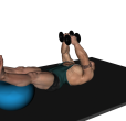 Flye - Dumbbell Reverse
